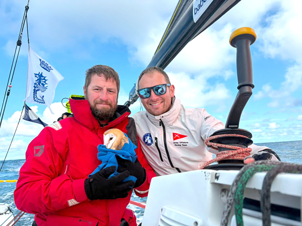 OMG: British army’s sailing crew rescue exhausted barn owl